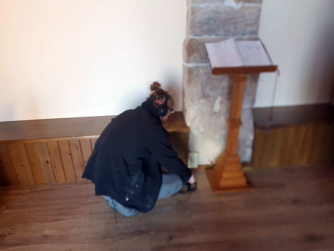 inspección termitas iglesias zaragoza